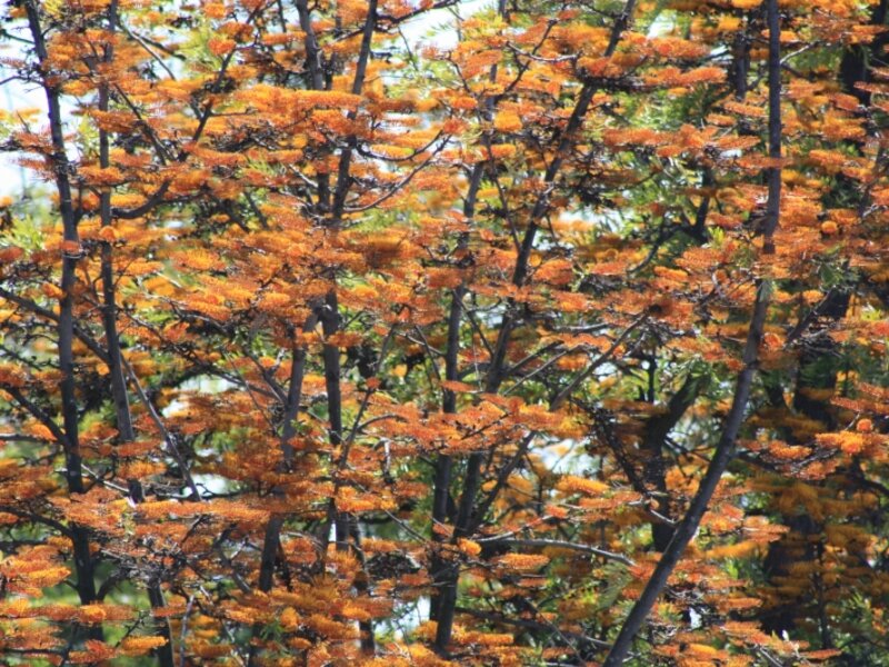 Around......Griffith Observatory  Los Angeles, Ca