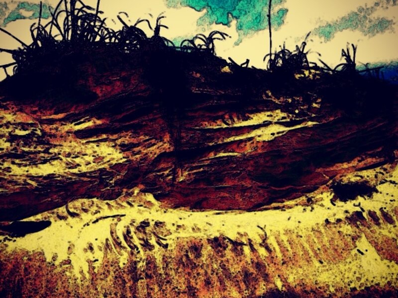 Little talbot Island