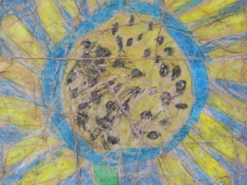 "SunFlower"