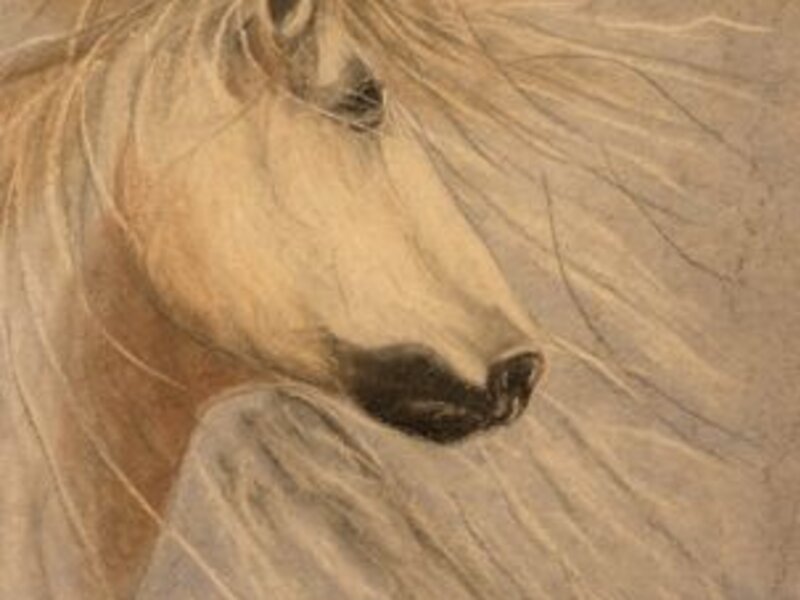 "Beaux, My First
