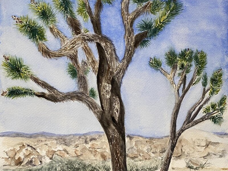 The Amazing Joshua Tree