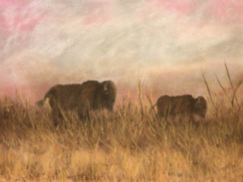 "The Survivors"