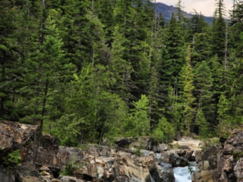 McDonald Creek