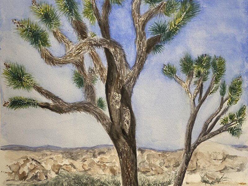 Joshua Tree National Park