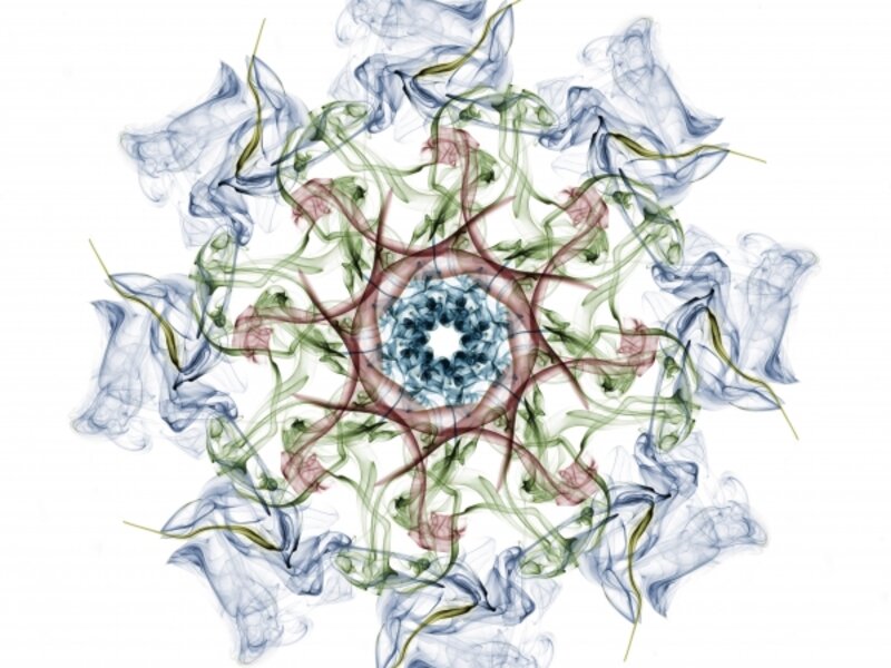 Blue Flame