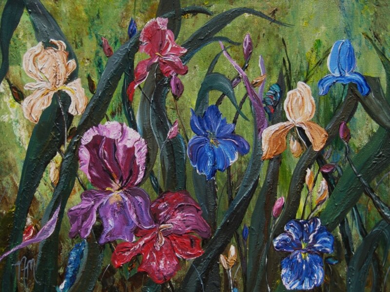 “Iris Field”