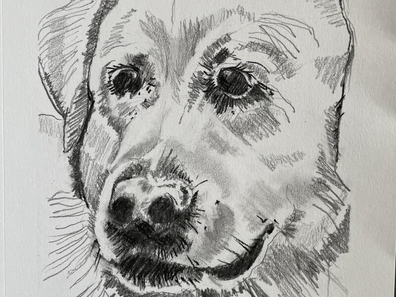 Graphite and charcoal on paper