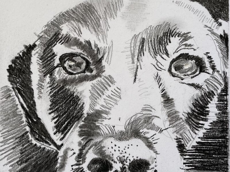 Graphite and charcoal