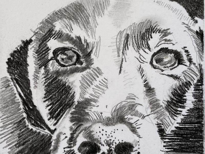 Graphite and charcoal