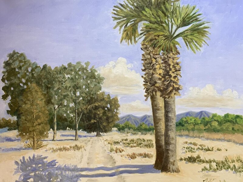 Sunny day in Tucson