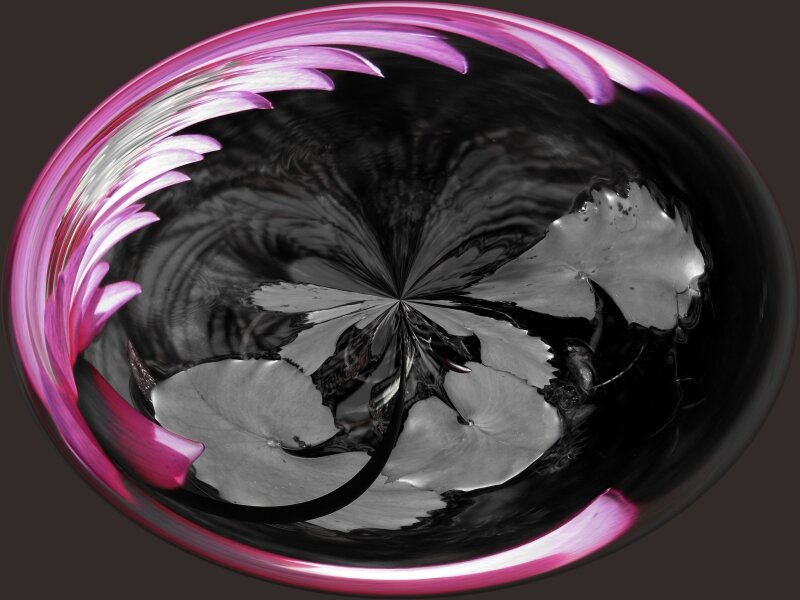 Swirl