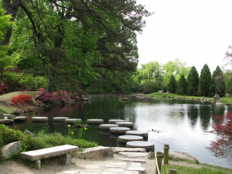 The Pond