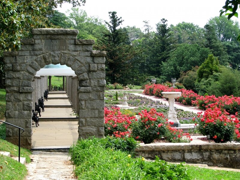 Rose garden