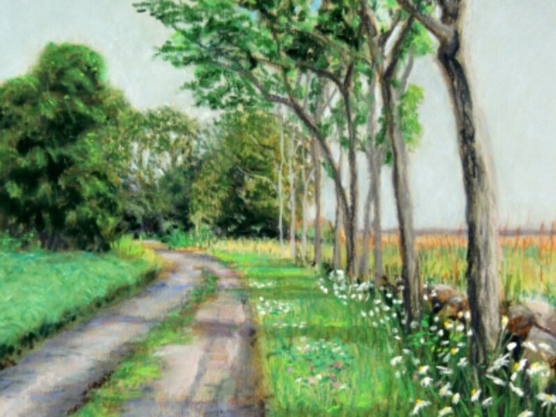 Summer Lane