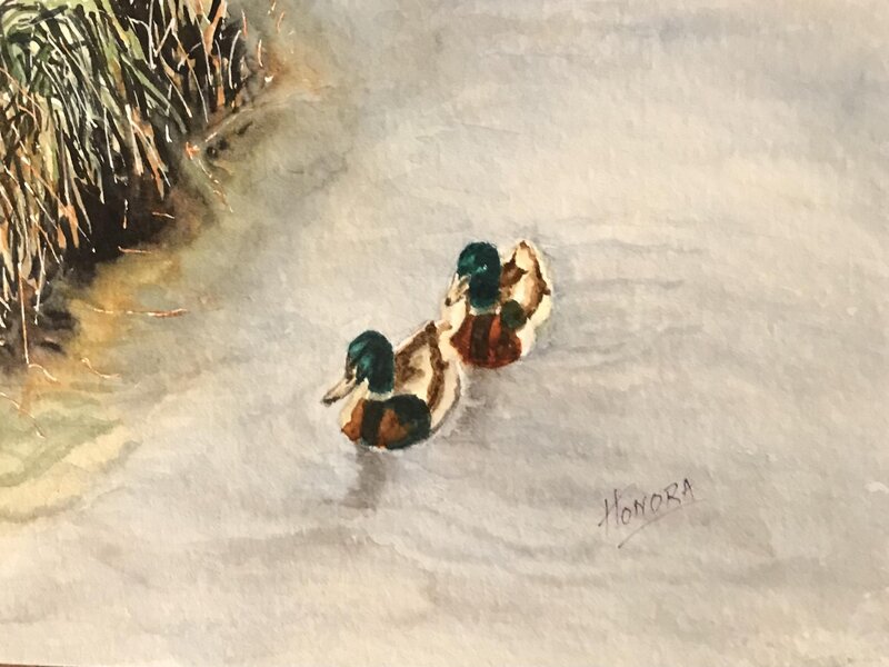 Two Mallard Ducks