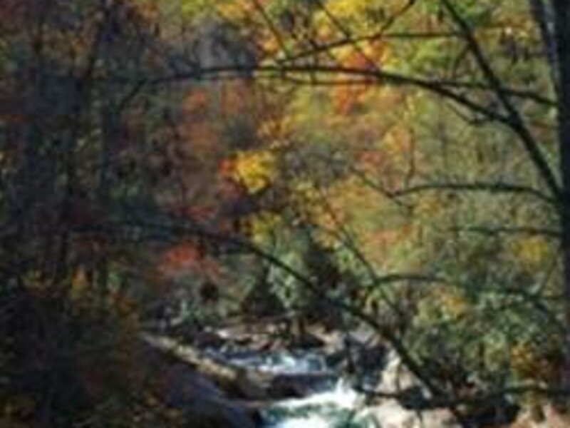 Smokey Mountain Stream