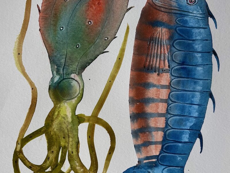 Painting in gouache and colored pencils, May, 2025.