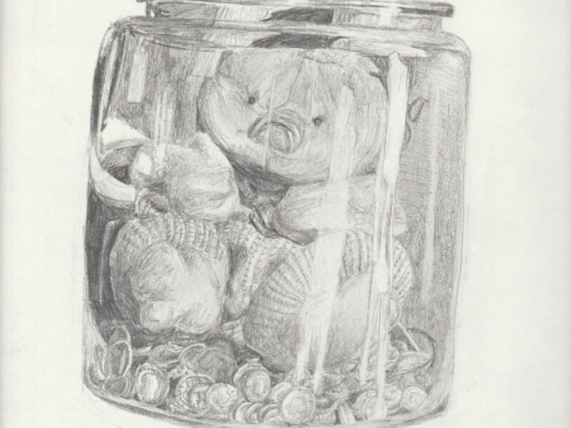 Ducky Duck Study in a Money Jar