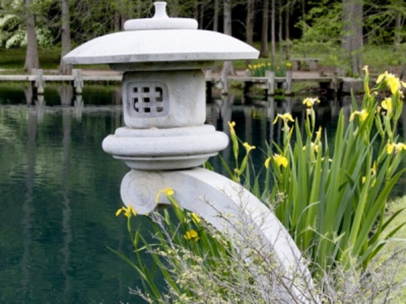 Japanese Garden