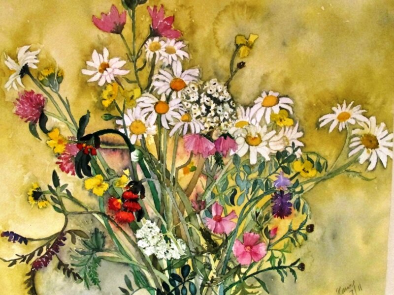 Summer Wildflowers