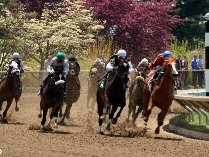Spring Meet