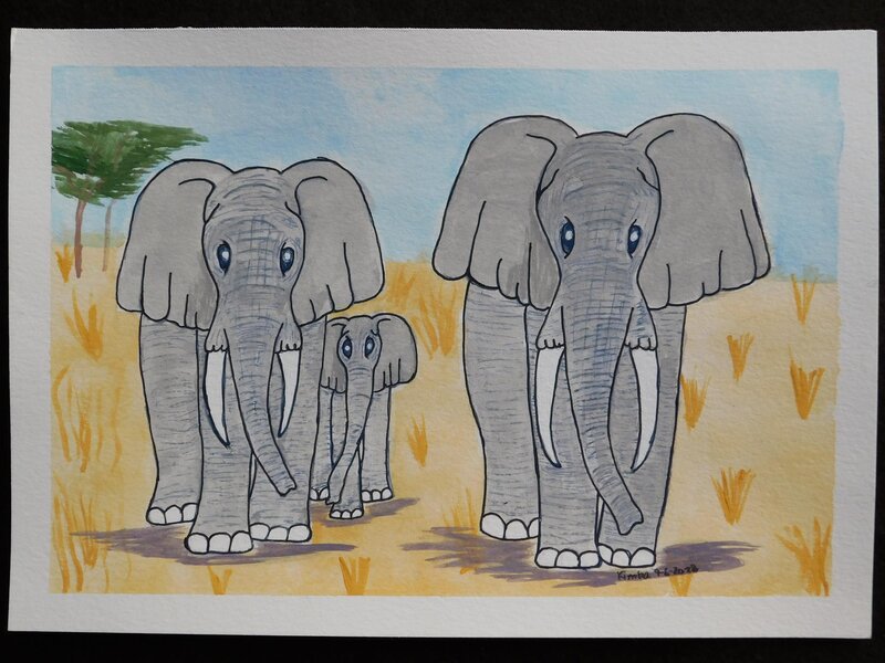 Elephant Family