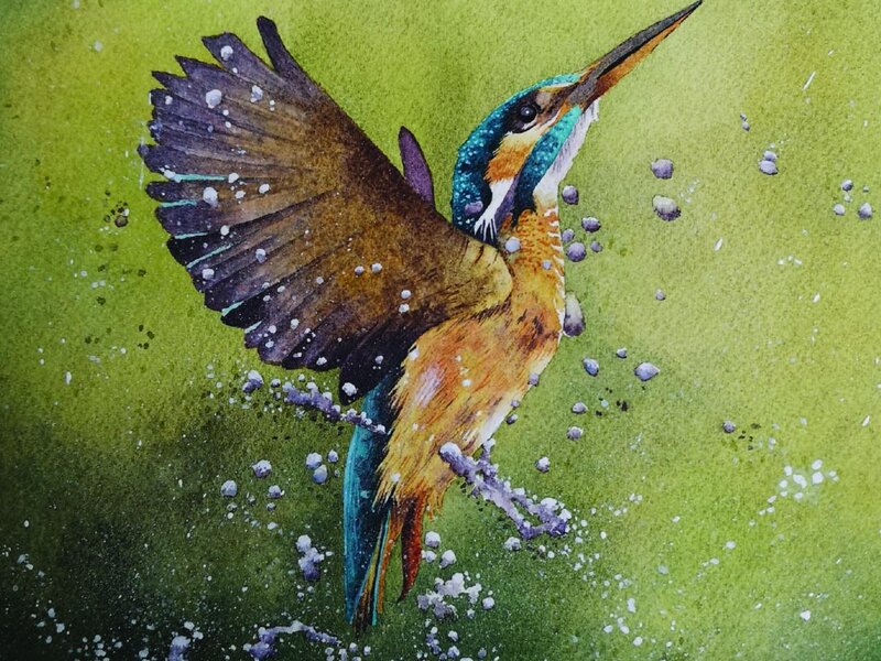 Kingfisher