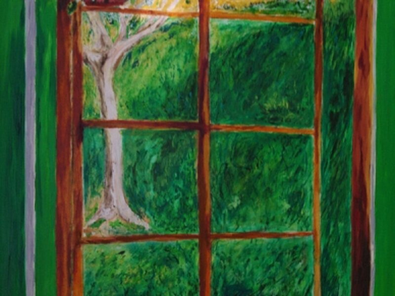 Kitchen Window