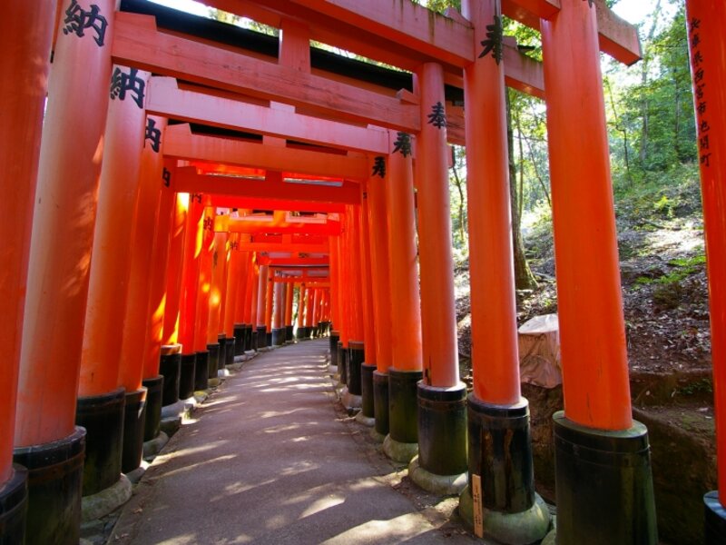 The Fushimi Inari-taisha Temple