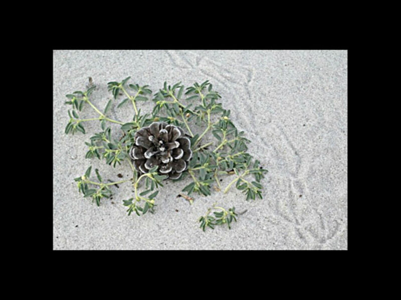 LBI Before Sandy - September 2012 