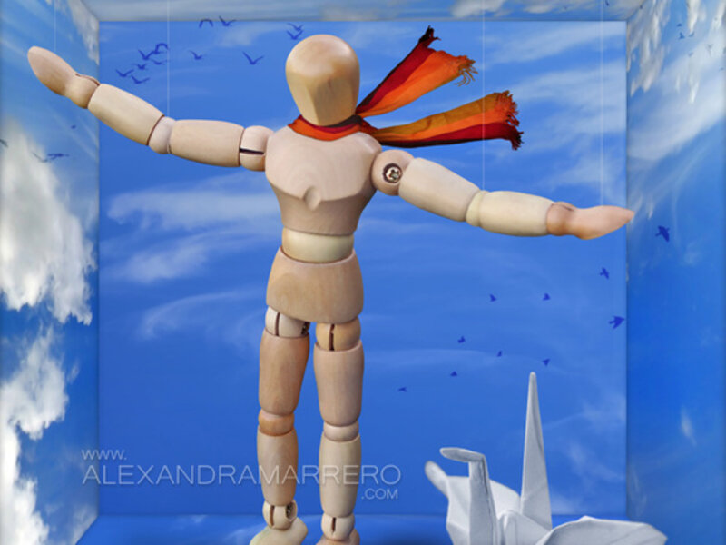 Learning to Fly