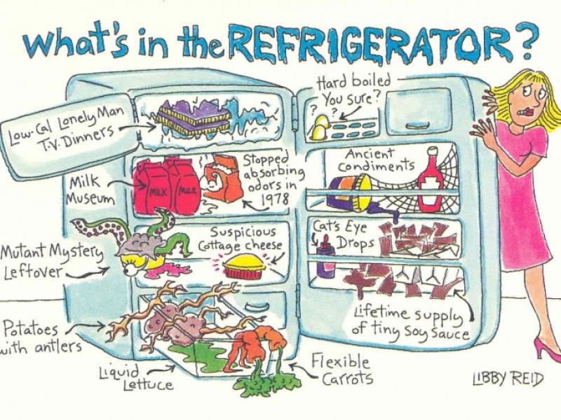 What's In The Refrigerator?