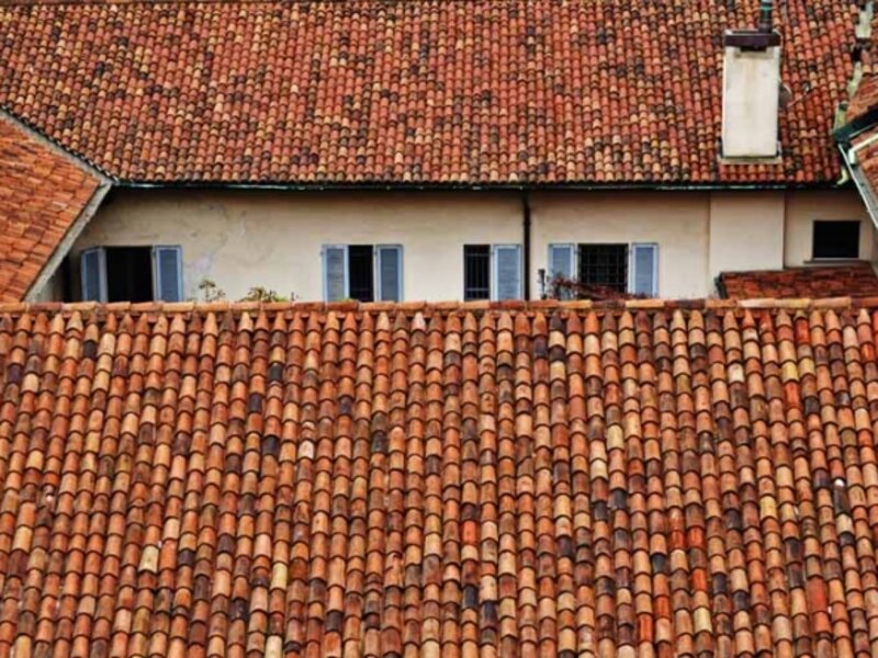 Life Under Tiles