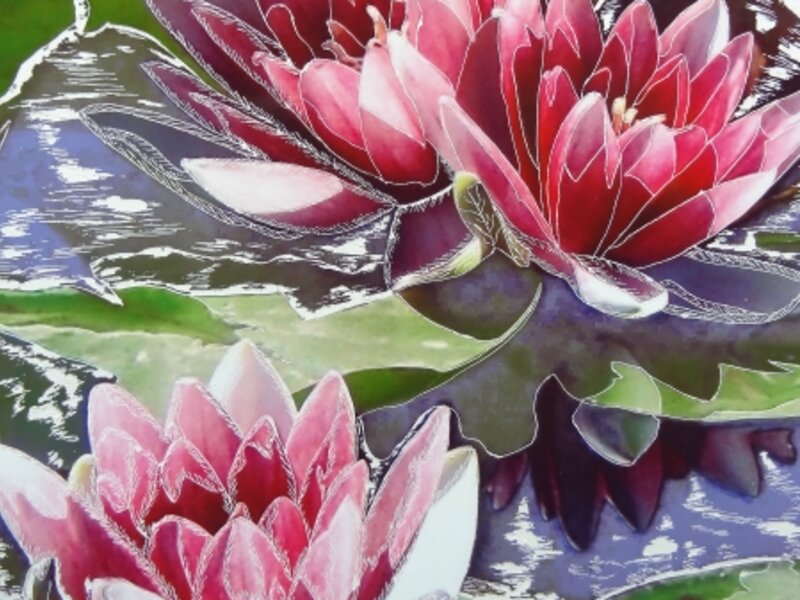 Water Lilies