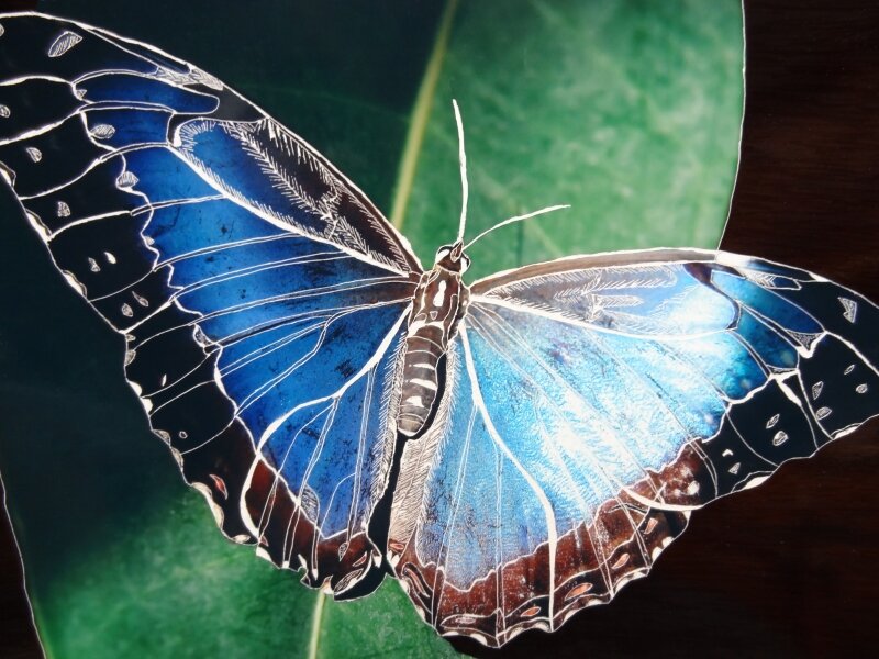 Blue Butterfly