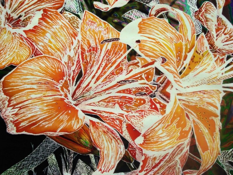 And Now Orange Lilies