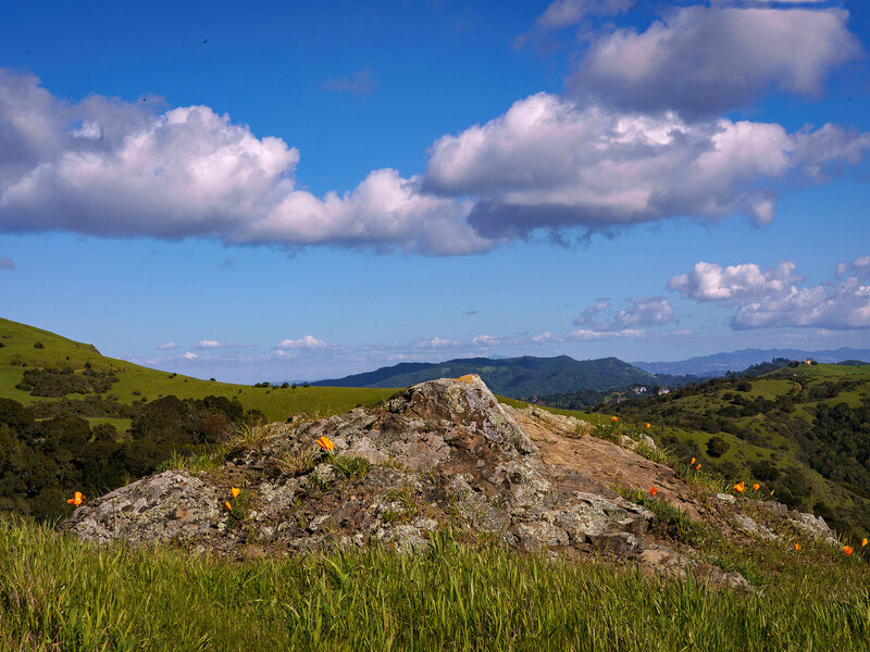 clouds in blue sky, green hills tan rock, orange poppies