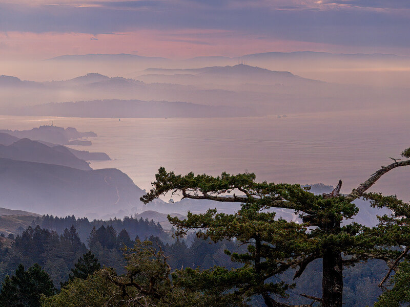 Looking Toward San Francisco from Mt. Tamalpais