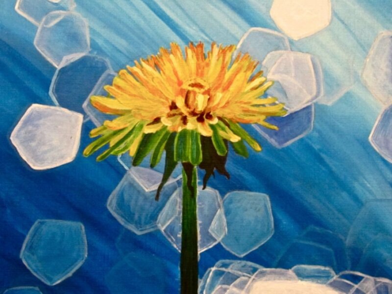Dandelion