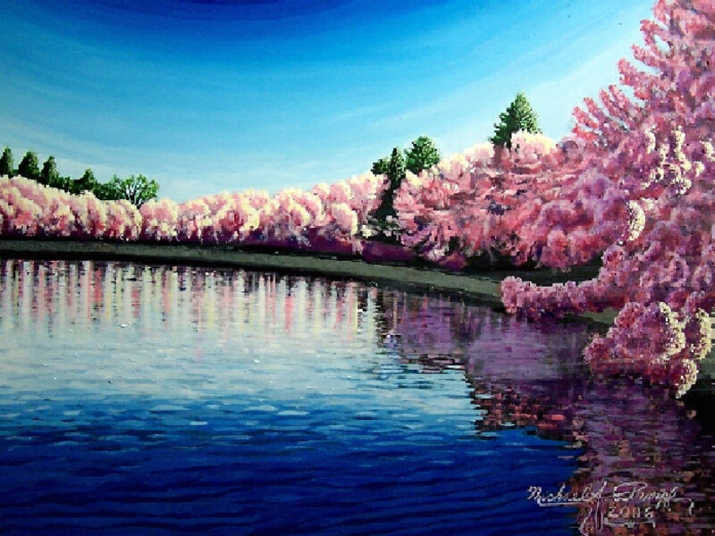 Tidal Basin Cherry Blossoms