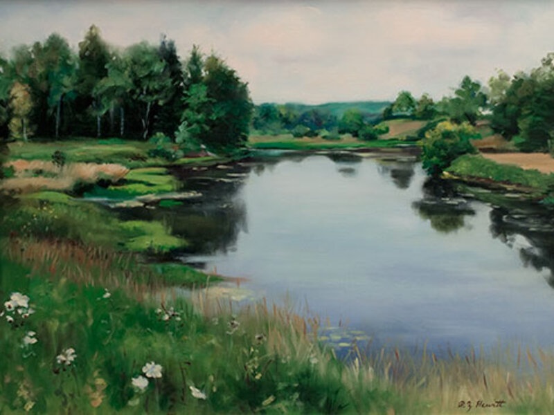 Maine Vista