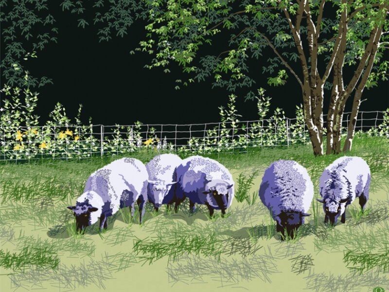 Dinner Time in a Fresh Pasture
