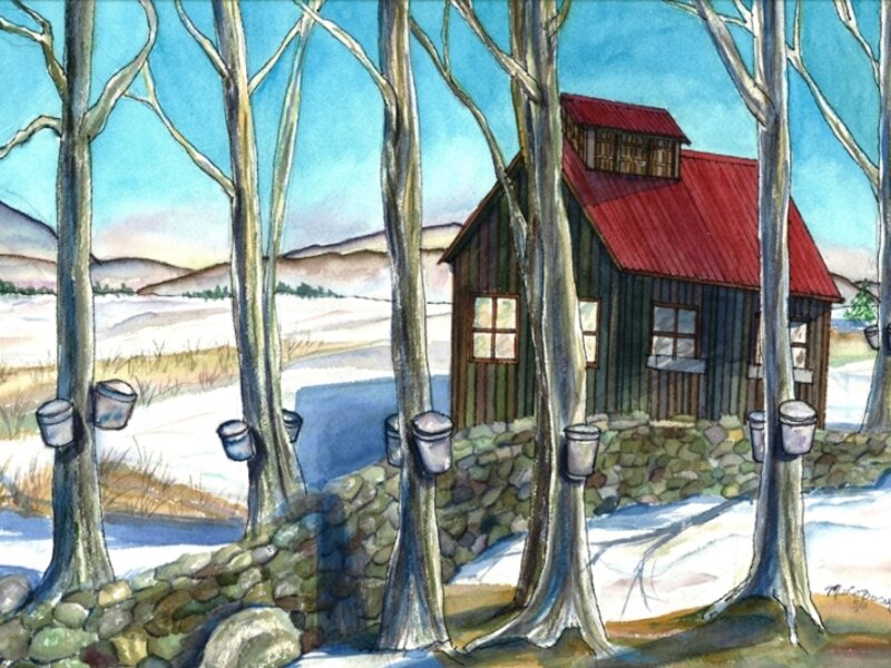 Maple Sugaring in Vermont