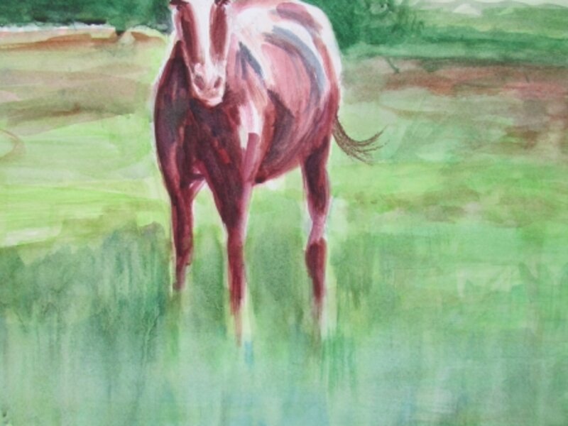 Meadow Marsh Serenity