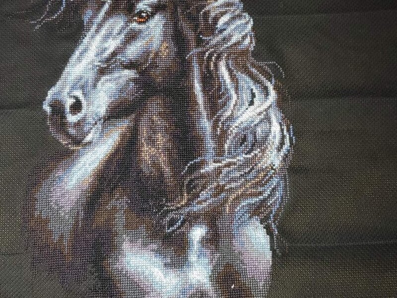Black Horse