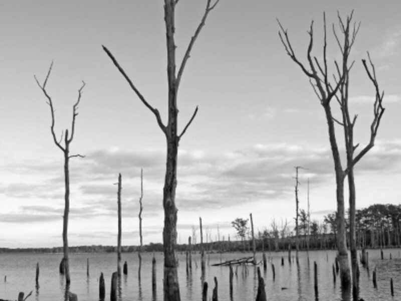 Dusk on the Manasquan Reservoir