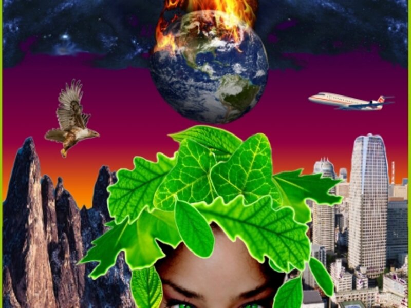 Nature-Made Versus Man-Made