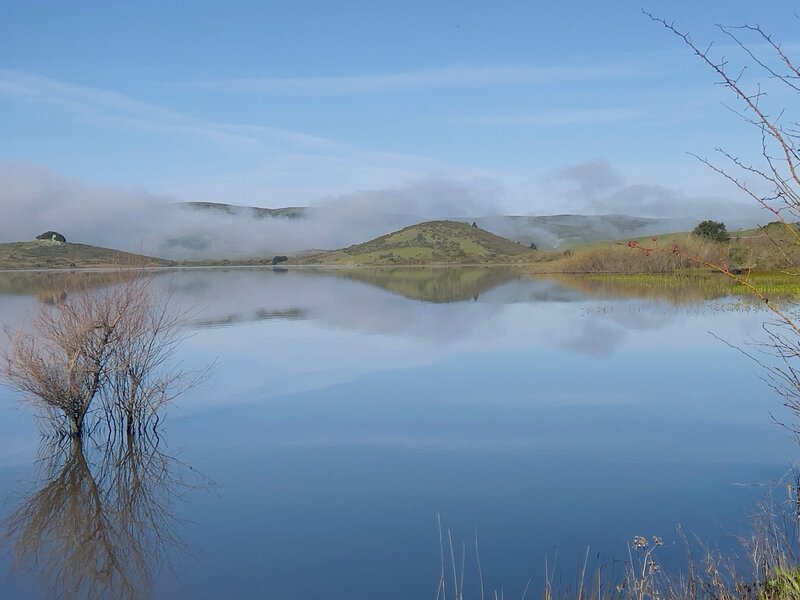 Nicasio Reservoir