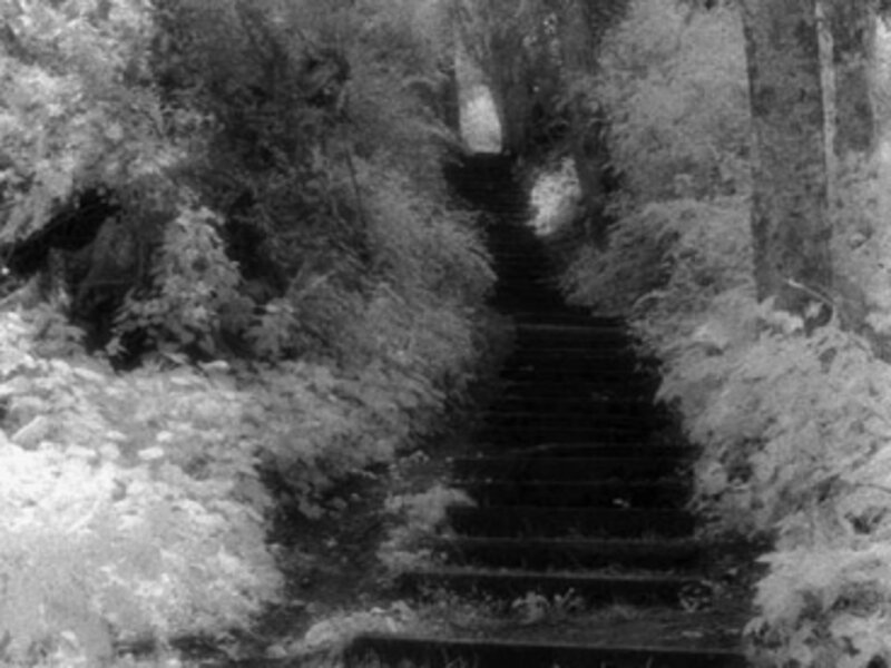 No Point Trail