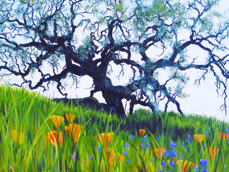 Joy of Spring